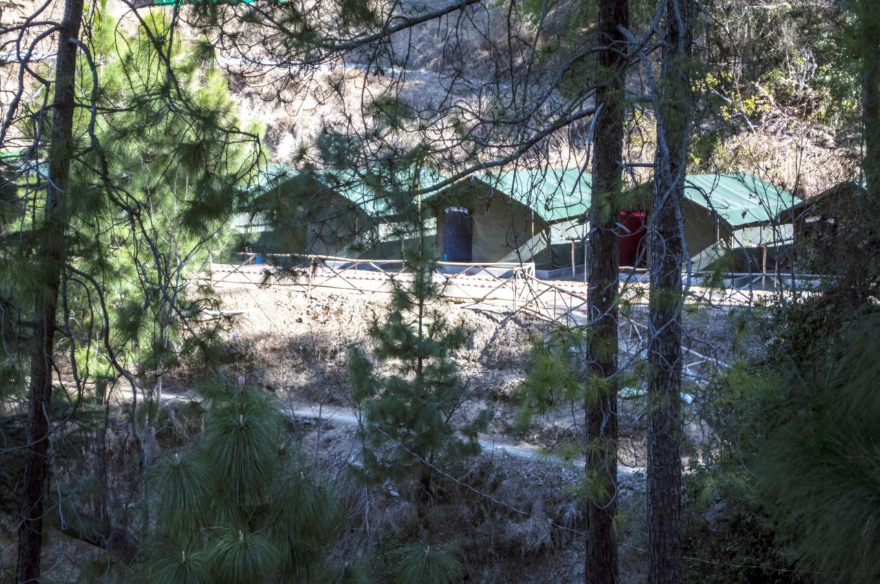 Jungle Stays Chail Exterior photo